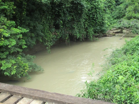 Les vakis sont des riverains