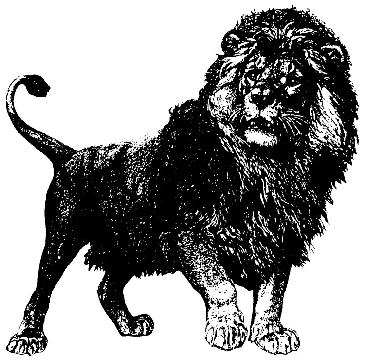 Le conte du lion et la femme